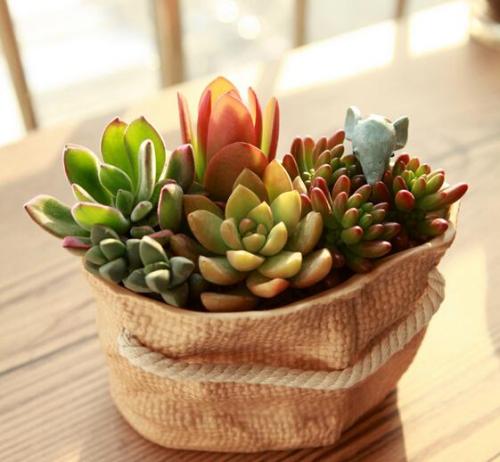 ¿ËÂÞµØÑÇÊ×¶¼¸½½ü·¢Éú6.4¼¶µØÕð ÉÐÎÞÉËÍö±¨¸æ