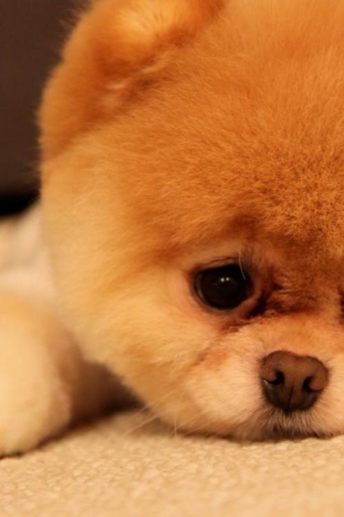 直播带货频繁翻车迎来监管 行业如何长足发展?