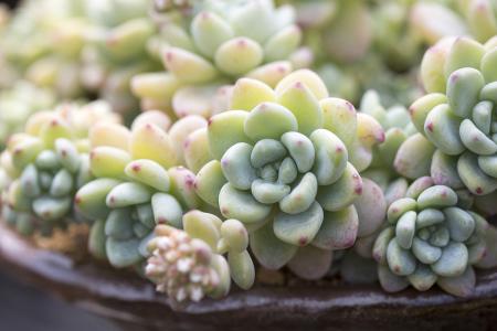 国务院发布实施动产和权利担保统一登记决定 全文