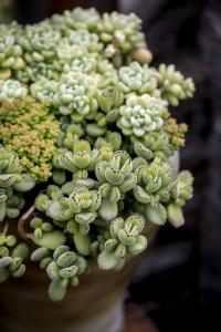 ÑëÆóÈ¥²úÄÜÈÎÎñÌáǰÍê³É ¶àÏî¸Ä¸ï³å´ÌÊÕ¹Ù