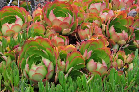 ͨ䲿Сͳ޾Ӫ߲泵ṩ