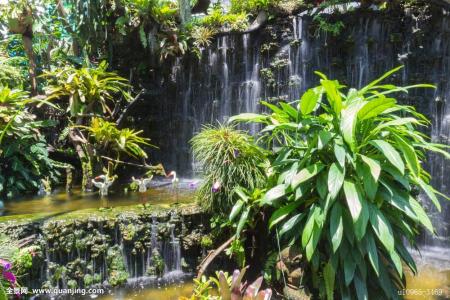 Ö±²¥´ø»õƵ·±·³µÓÀ´¼à¹Ü ÐÐÒµÈçºÎ³¤×ã·¢Õ¹£¿