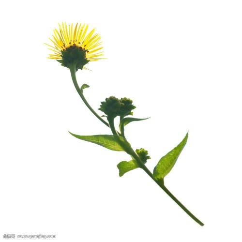 专访证监会首席律师:证券集体诉讼进展如何?